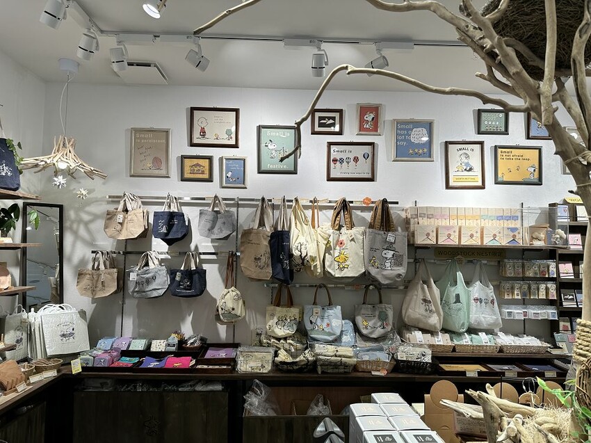 六天五夜的九州福岡自駕自由行攻略!從高雄起飛到當地租車、住宿與景點全紀錄,還有意外的住宿與美食經驗分享。