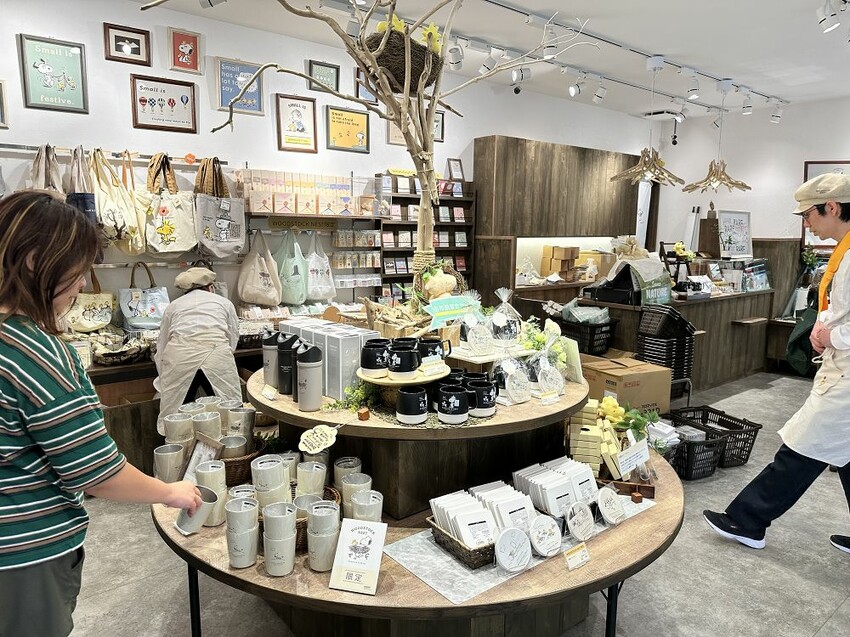 六天五夜的九州福岡自駕自由行攻略!從高雄起飛到當地租車、住宿與景點全紀錄,還有意外的住宿與美食經驗分享。