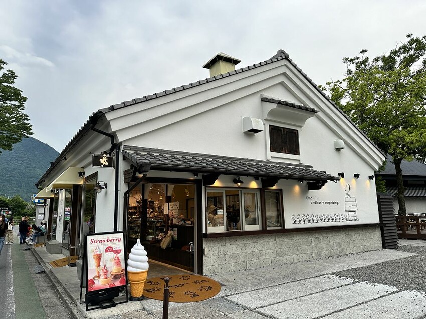 六天五夜的九州福岡自駕自由行攻略!從高雄起飛到當地租車、住宿與景點全紀錄,還有意外的住宿與美食經驗分享。