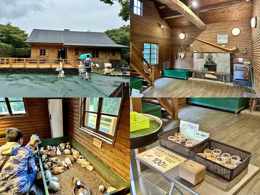 六天五夜的九州福岡自駕自由行攻略!從高雄起飛到當地租車、住宿與景點全紀錄,還有意外的住宿與美食經驗分享。