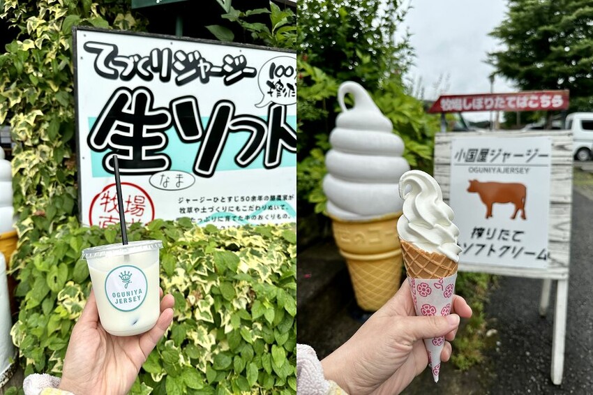 六天五夜的九州福岡自駕自由行攻略!從高雄起飛到當地租車、住宿與景點全紀錄,還有意外的住宿與美食經驗分享。