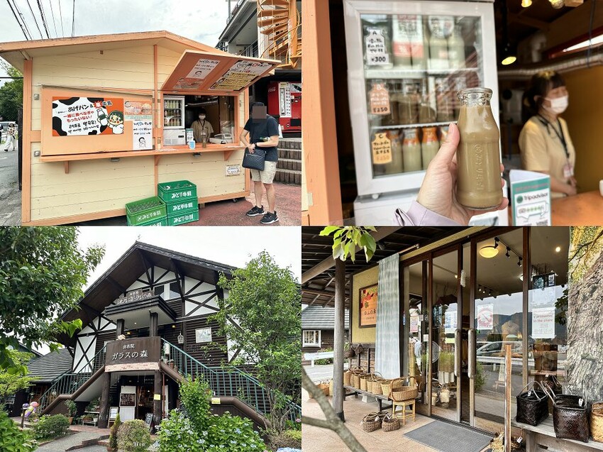 六天五夜的九州福岡自駕自由行攻略!從高雄起飛到當地租車、住宿與景點全紀錄,還有意外的住宿與美食經驗分享。