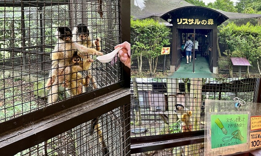 六天五夜的九州福岡自駕自由行攻略!從高雄起飛到當地租車、住宿與景點全紀錄,還有意外的住宿與美食經驗分享。