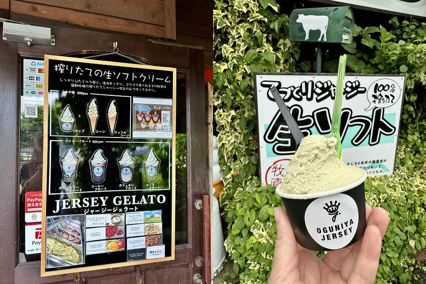 六天五夜的九州福岡自駕自由行攻略!從高雄起飛到當地租車、住宿與景點全紀錄,還有意外的住宿與美食經驗分享。