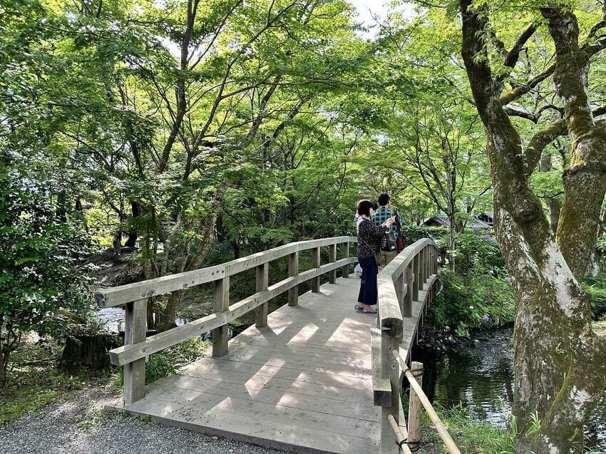 六天五夜的九州福岡自駕自由行攻略!從高雄起飛到當地租車、住宿與景點全紀錄,還有意外的住宿與美食經驗分享。