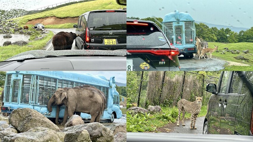 六天五夜的九州福岡自駕自由行攻略!從高雄起飛到當地租車、住宿與景點全紀錄,還有意外的住宿與美食經驗分享。