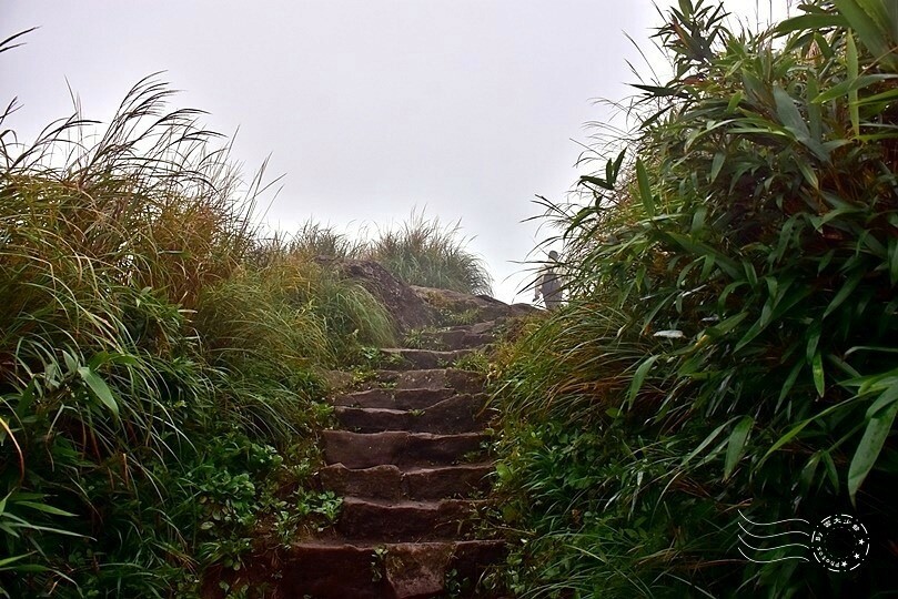 七星山登山步道