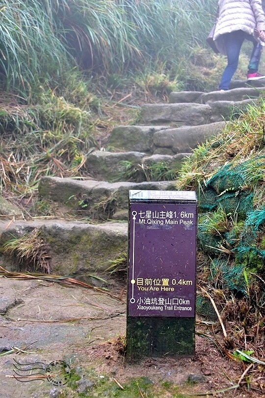 七星山登山步道