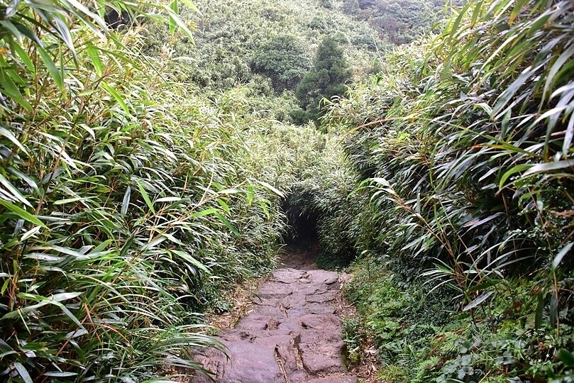 七星山登山步道