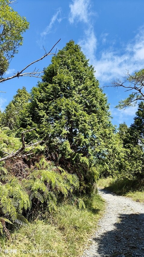 2024太平山國家森林遊樂區|翠峰湖,臺灣最大高山湖泊|翠峰