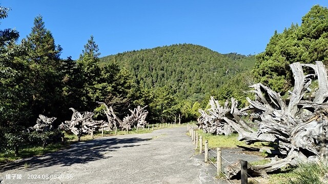 2024太平山國家森林遊樂區|翠峰湖,臺灣最大高山湖泊|翠峰