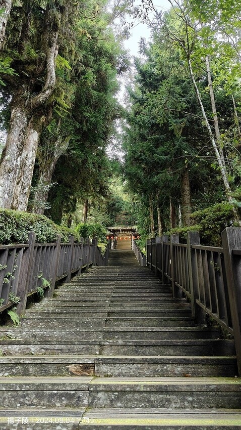 2024太平山國家森林遊樂區(中)|太平山莊|原太平山俱樂部