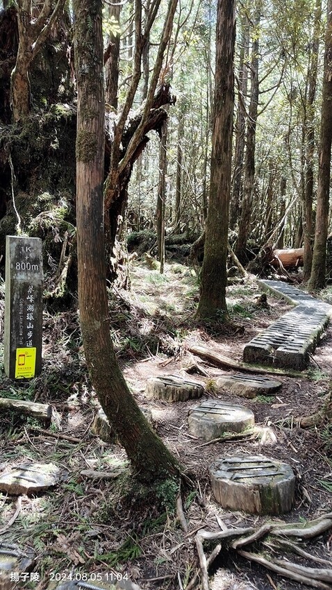 2024太平山國家森林遊樂區|翠峰湖,臺灣最大高山湖泊|翠峰