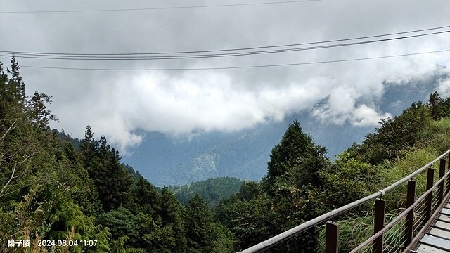 2024太平山國家森林遊樂區(上)｜鳩之澤溫泉｜見晴懷古步道