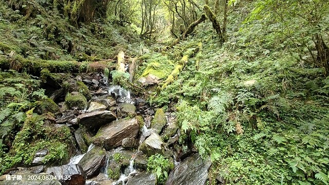 2024太平山國家森林遊樂區(上)｜鳩之澤溫泉｜見晴懷古步道