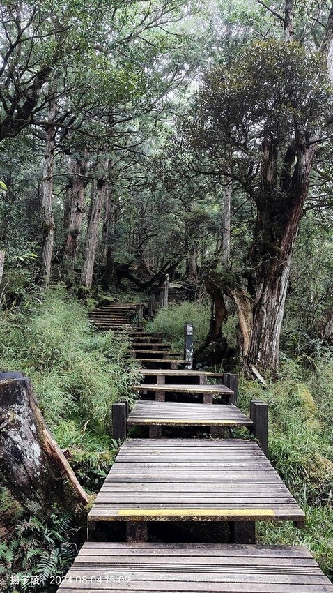 2024太平山國家森林遊樂區(中)|太平山莊|原太平山俱樂部
