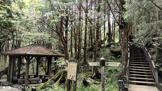 2024太平山國家森林遊樂區(中)|太平山莊|原太平山俱樂部