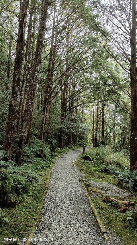 2024太平山國家森林遊樂區|翠峰湖,臺灣最大高山湖泊|翠峰