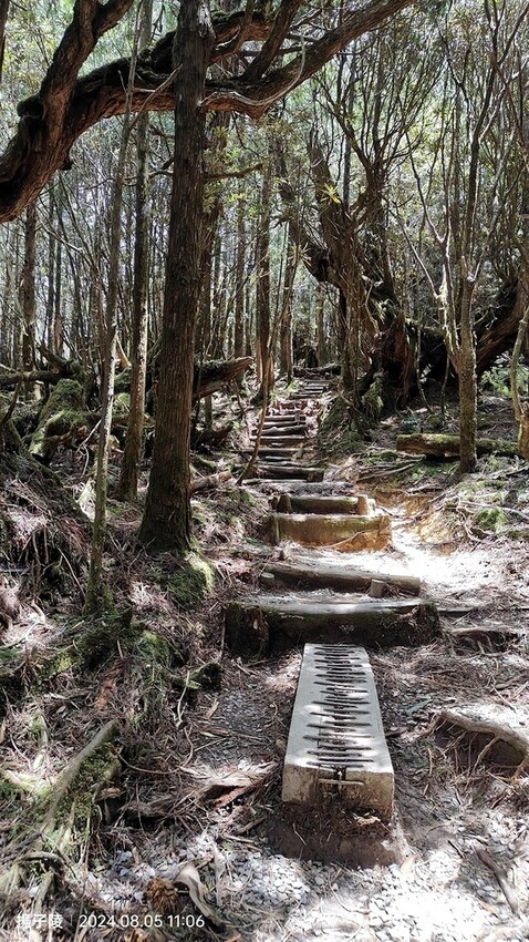 2024太平山國家森林遊樂區|翠峰湖,臺灣最大高山湖泊|翠峰