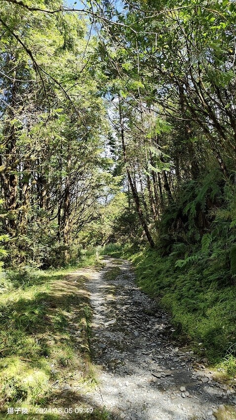 2024太平山國家森林遊樂區|翠峰湖,臺灣最大高山湖泊|翠峰