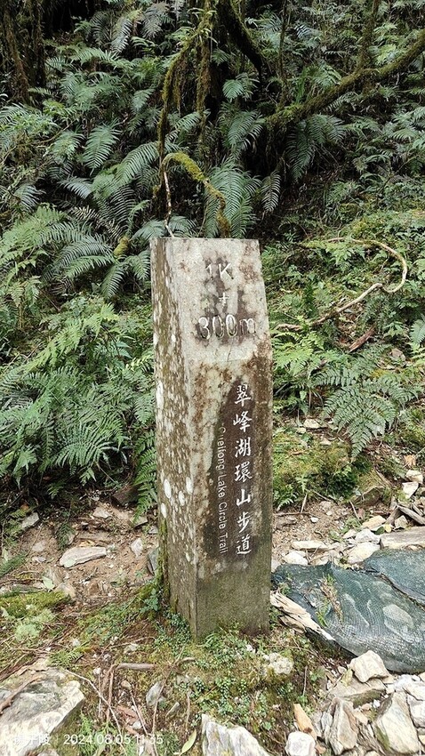 2024太平山國家森林遊樂區|翠峰湖,臺灣最大高山湖泊|翠峰