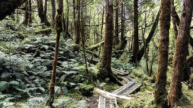 2024太平山國家森林遊樂區|翠峰湖,臺灣最大高山湖泊|翠峰