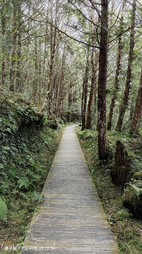 2024太平山國家森林遊樂區|翠峰湖,臺灣最大高山湖泊|翠峰