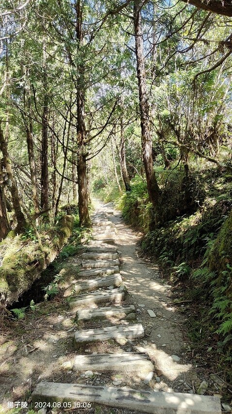 2024太平山國家森林遊樂區|翠峰湖,臺灣最大高山湖泊|翠峰