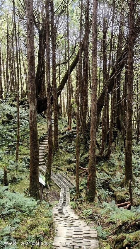 2024太平山國家森林遊樂區|翠峰湖,臺灣最大高山湖泊|翠峰