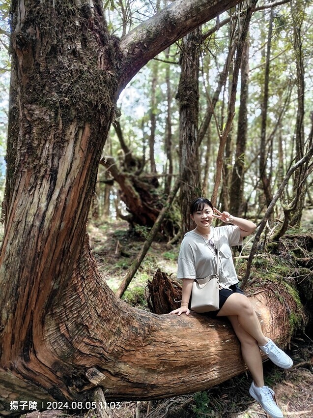 2024太平山國家森林遊樂區|翠峰湖,臺灣最大高山湖泊|翠峰