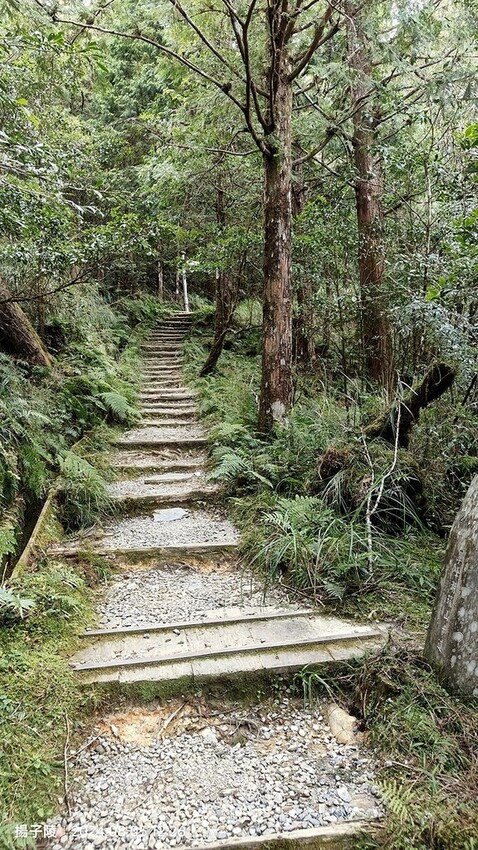 2024太平山國家森林遊樂區|翠峰湖,臺灣最大高山湖泊|翠峰