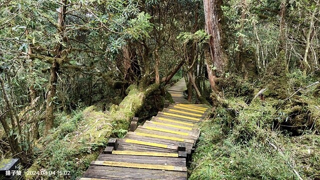 2024太平山國家森林遊樂區(中)|太平山莊|原太平山俱樂部