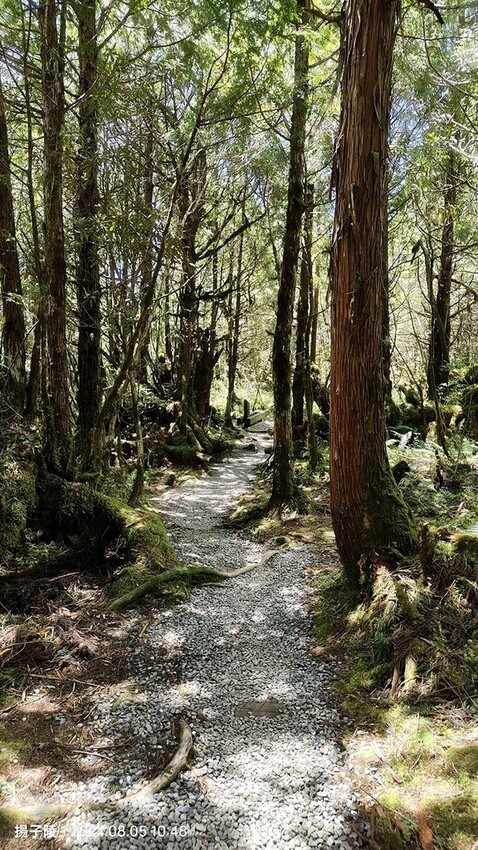 2024太平山國家森林遊樂區|翠峰湖,臺灣最大高山湖泊|翠峰