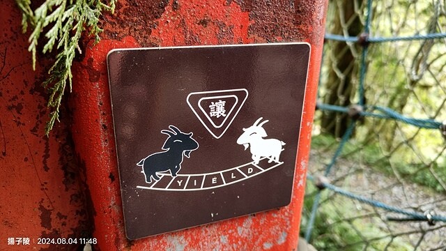 2024太平山國家森林遊樂區(上)｜鳩之澤溫泉｜見晴懷古步道