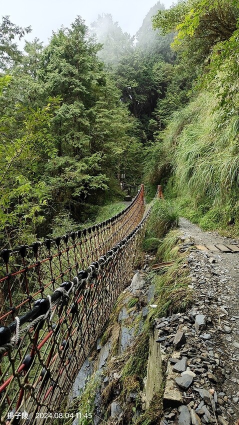 2024太平山國家森林遊樂區(上)｜鳩之澤溫泉｜見晴懷古步道