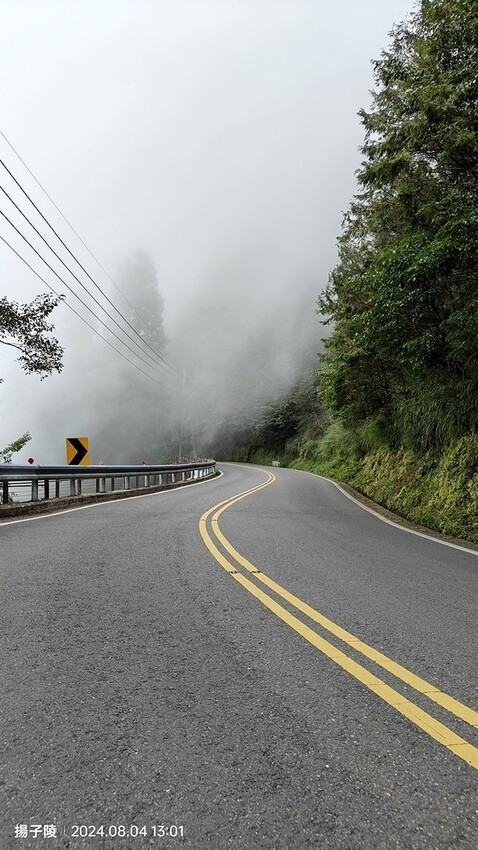 2024太平山國家森林遊樂區(上)｜鳩之澤溫泉｜見晴懷古步道
