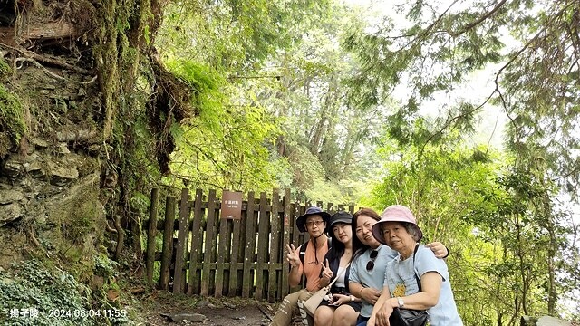 2024太平山國家森林遊樂區(上)｜鳩之澤溫泉｜見晴懷古步道