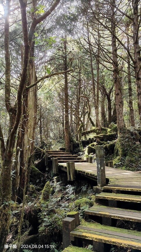 2024太平山國家森林遊樂區(中)|太平山莊|原太平山俱樂部