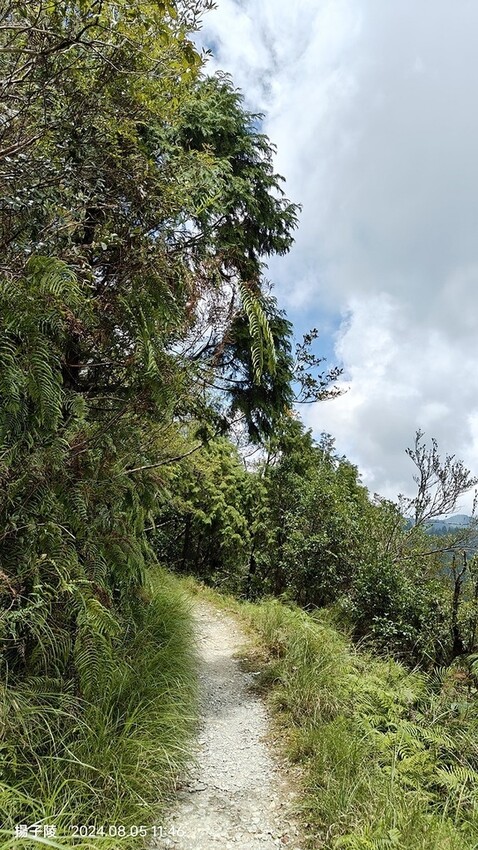 2024太平山國家森林遊樂區|翠峰湖,臺灣最大高山湖泊|翠峰