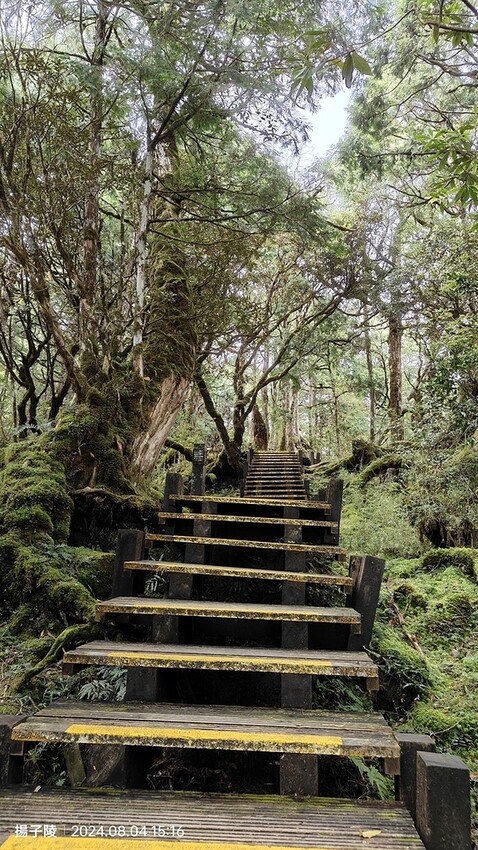 2024太平山國家森林遊樂區(中)|太平山莊|原太平山俱樂部