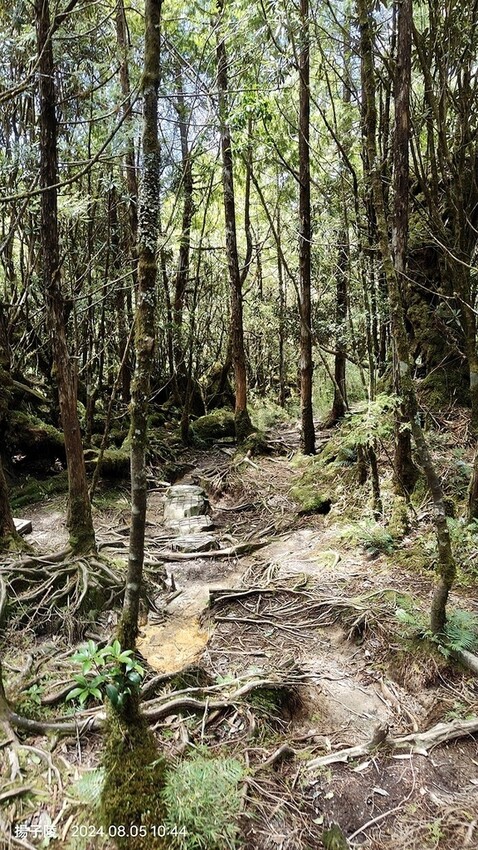 2024太平山國家森林遊樂區|翠峰湖,臺灣最大高山湖泊|翠峰