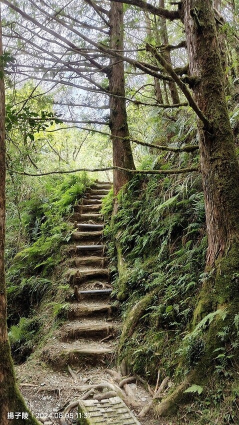 2024太平山國家森林遊樂區|翠峰湖,臺灣最大高山湖泊|翠峰