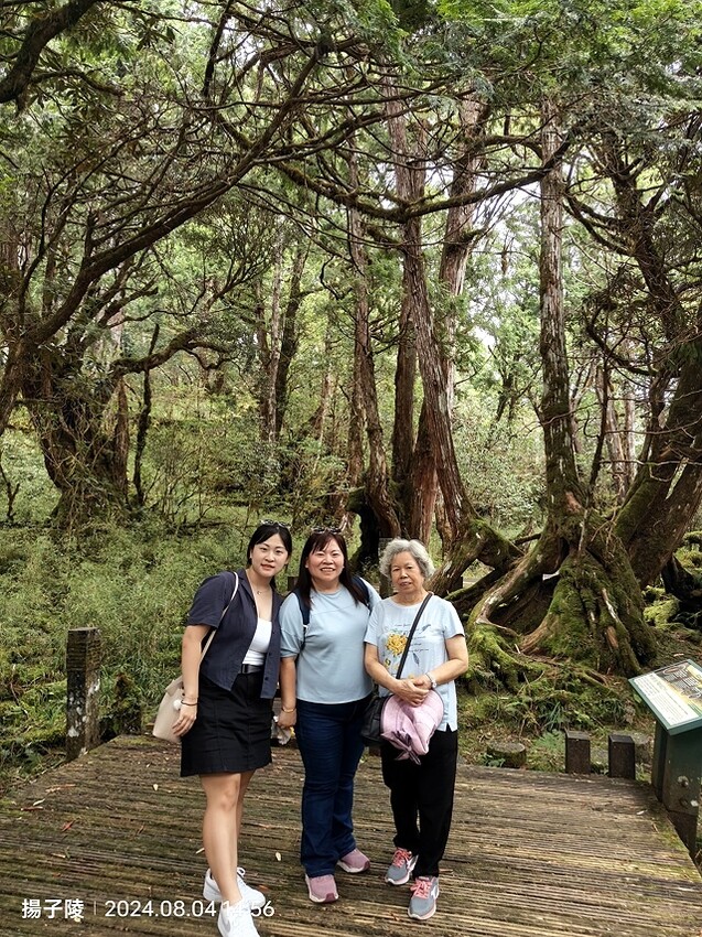 2024太平山國家森林遊樂區(中)|太平山莊|原太平山俱樂部