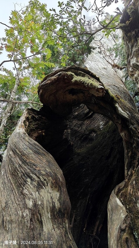 2024太平山國家森林遊樂區|翠峰湖,臺灣最大高山湖泊|翠峰
