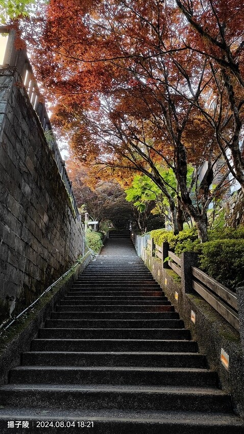 2024太平山國家森林遊樂區(中)|太平山莊|原太平山俱樂部