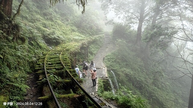 2024太平山國家森林遊樂區(上)｜鳩之澤溫泉｜見晴懷古步道