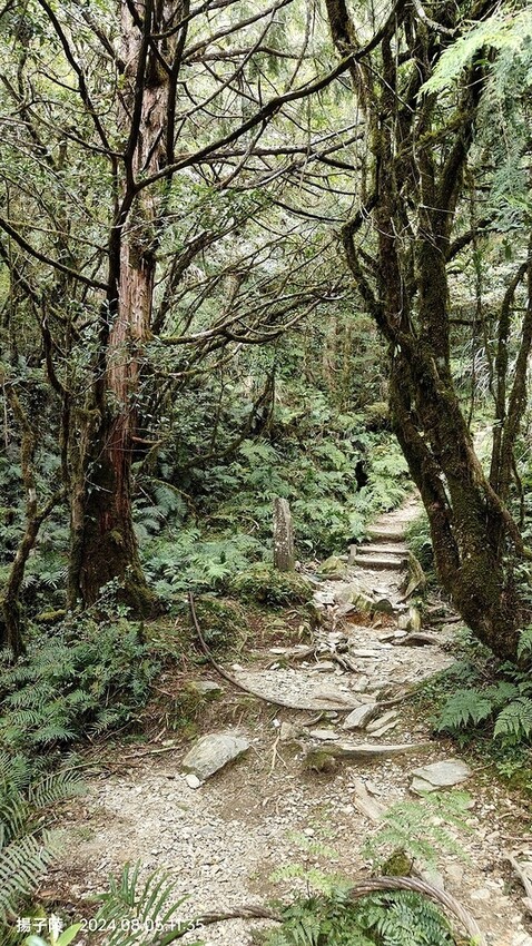 2024太平山國家森林遊樂區|翠峰湖,臺灣最大高山湖泊|翠峰