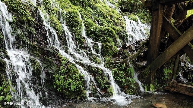 2024太平山國家森林遊樂區(上)｜鳩之澤溫泉｜見晴懷古步道
