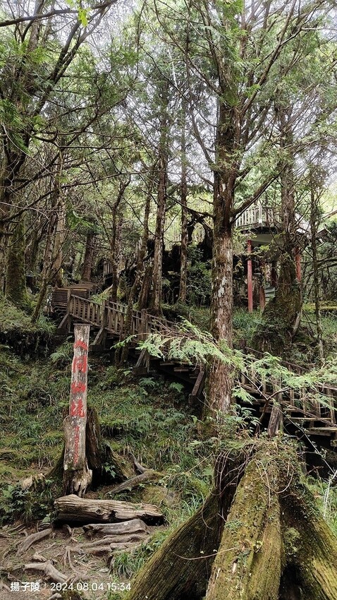 2024太平山國家森林遊樂區(中)|太平山莊|原太平山俱樂部
