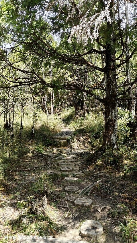 2024太平山國家森林遊樂區|翠峰湖,臺灣最大高山湖泊|翠峰